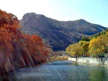 澳门二四六天天彩图库，电子飞碟